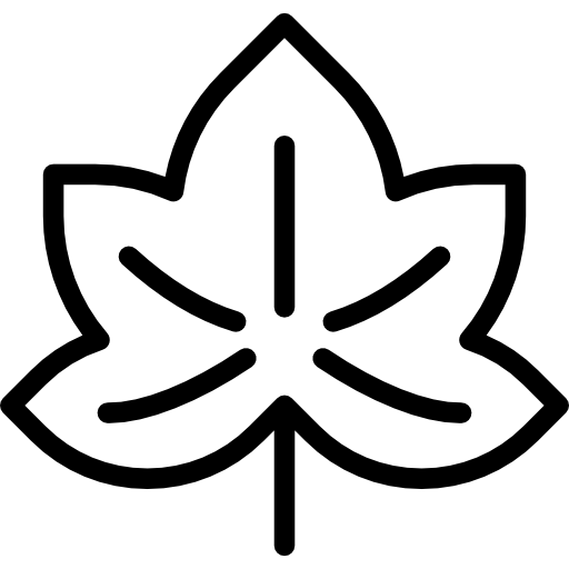 Кленовый лист Special Lineal иконка