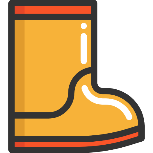 regenstiefel Special Lineal color icon