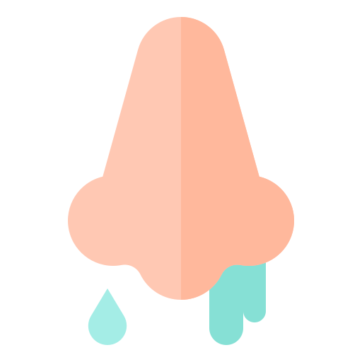 鼻 Generic Flat icon