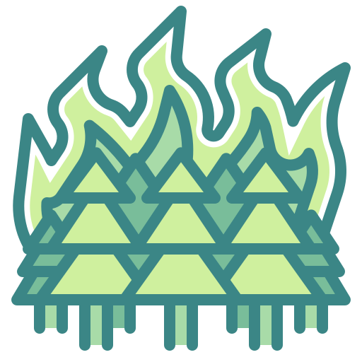 Forest fire Wanicon Two Tone icon