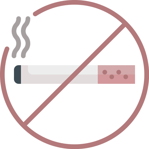 vietato fumare Justicon Flat icona