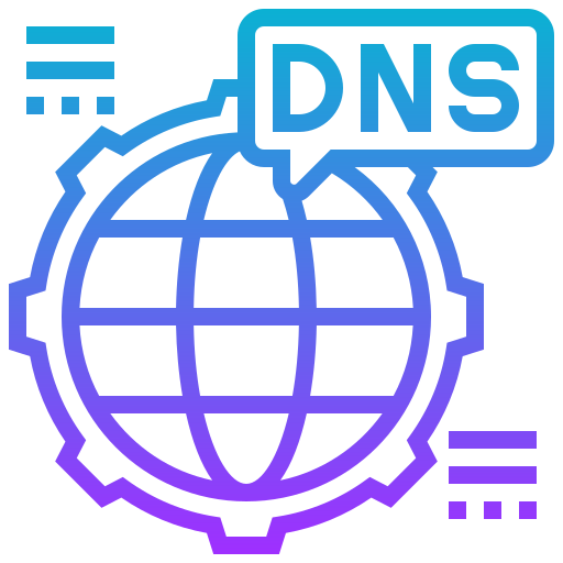 dns Meticulous Gradient icon