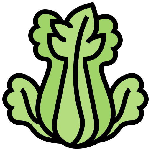 Celery Meticulous Lineal Color icon