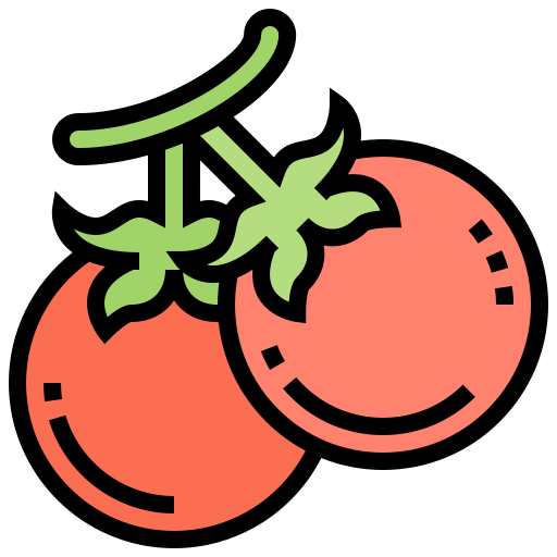Tomato Meticulous Lineal Color icon