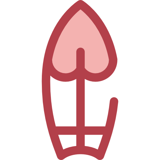 surfplank Monochrome Red icoon