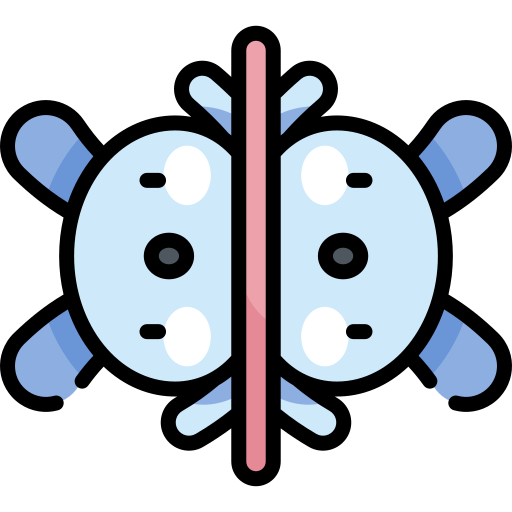symmetrie Kawaii Lineal color icoon