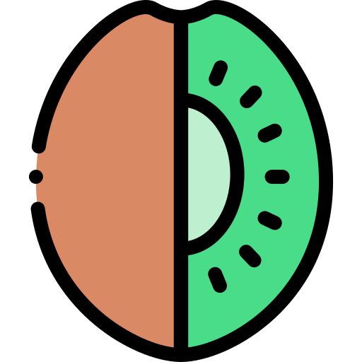 kiwi Detailed Rounded Lineal color icon