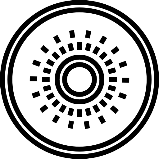 kiwi Detailed Straight Lineal icoon
