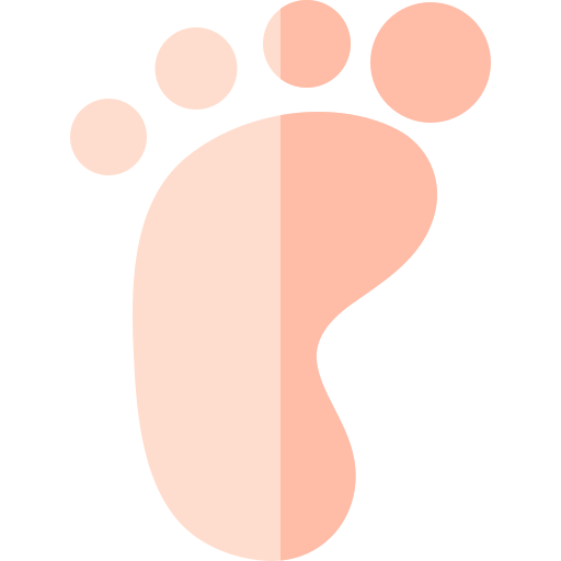 voet afdruk Basic Rounded Flat icoon