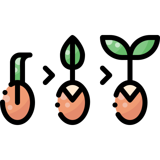 Выращивание семян Pixelmeetup Lineal Color иконка