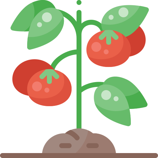 pomidor Pixelmeetup Flat ikona