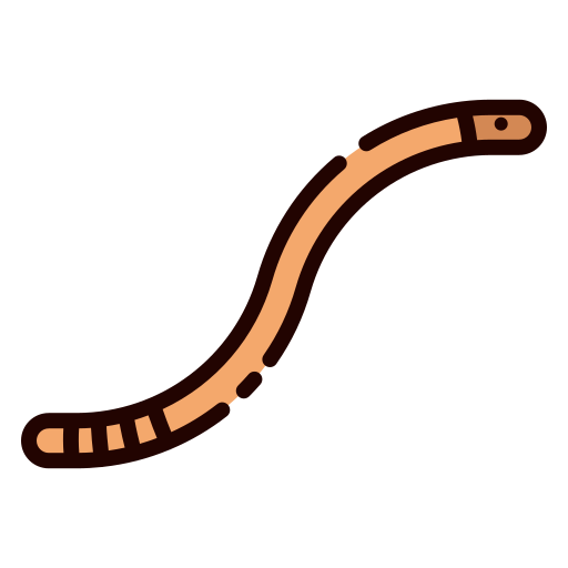 Worm Good Ware Lineal Color icon