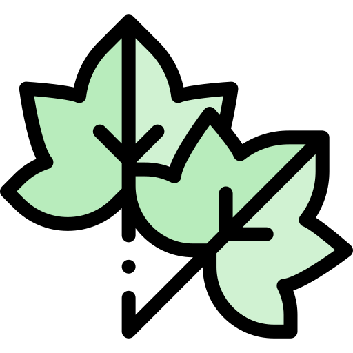 Leaves Detailed Rounded Lineal color icon