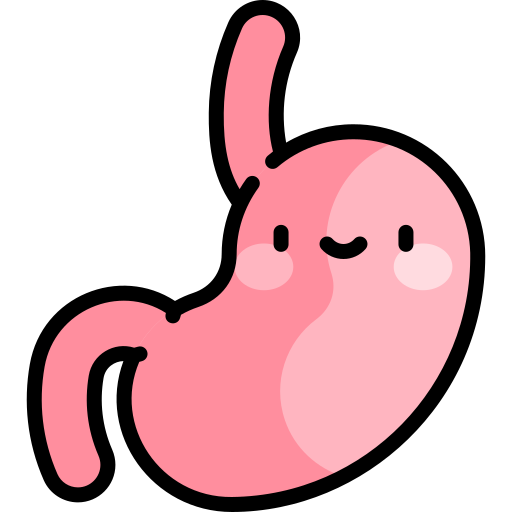 bauch Kawaii Lineal color icon