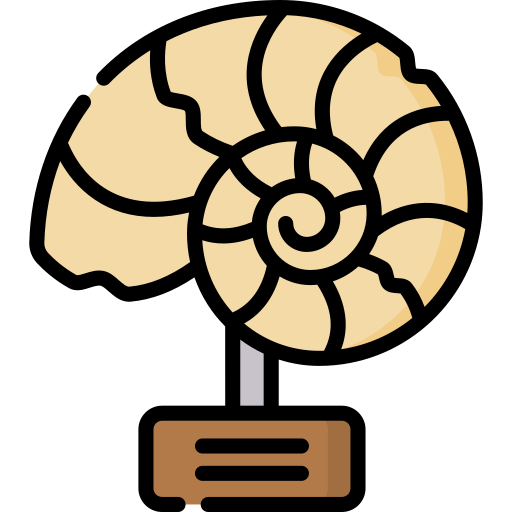 Fossil Special Lineal color icon