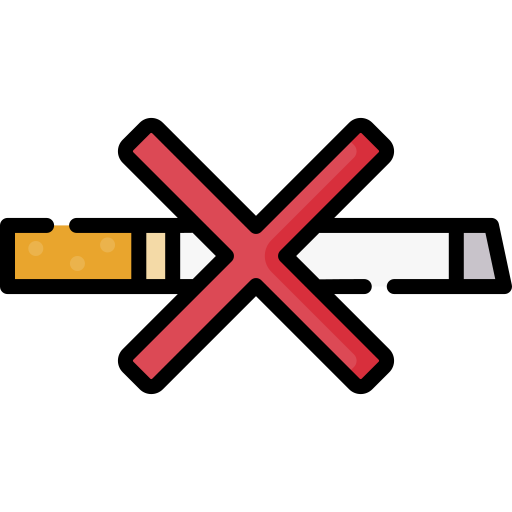 no fume Special Lineal color icono