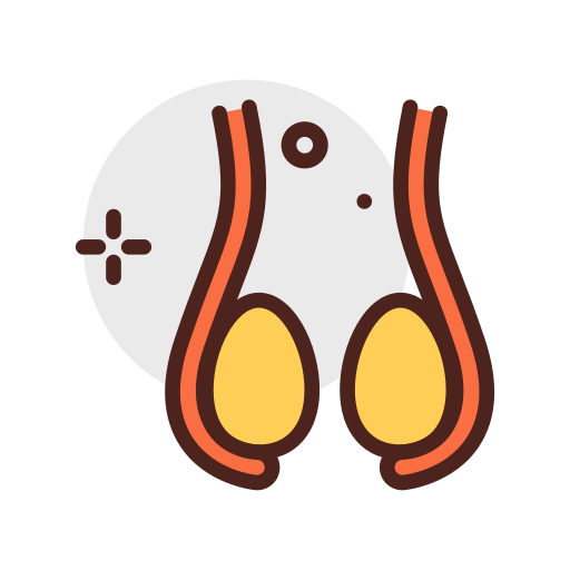 Testicles Darius Dan Lineal Color icon