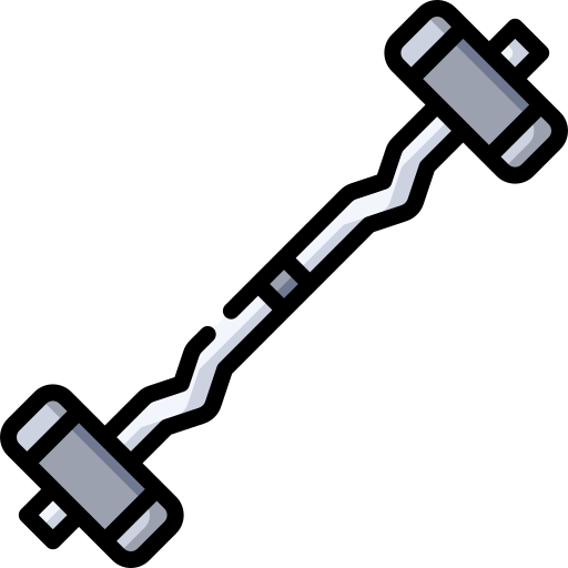 Barbell Special Lineal color icon