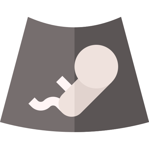 Ultrasound Basic Straight Flat icon