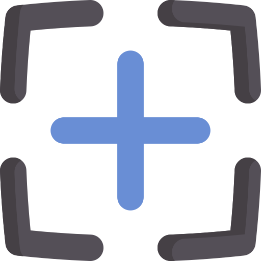 Focus Special Flat icon