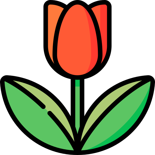 Tulip Special Lineal color icon