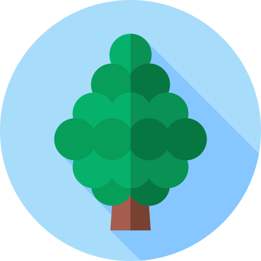 杉 Flat Circular Flat icon