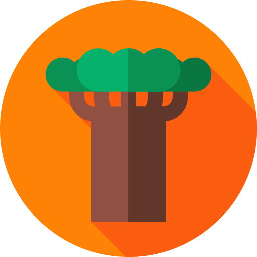 baobab Flat Circular Flat icoon