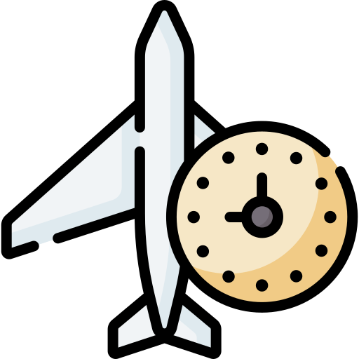 Flight Special Lineal color icon
