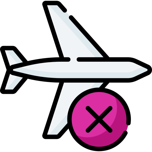 비행 Special Lineal color icon