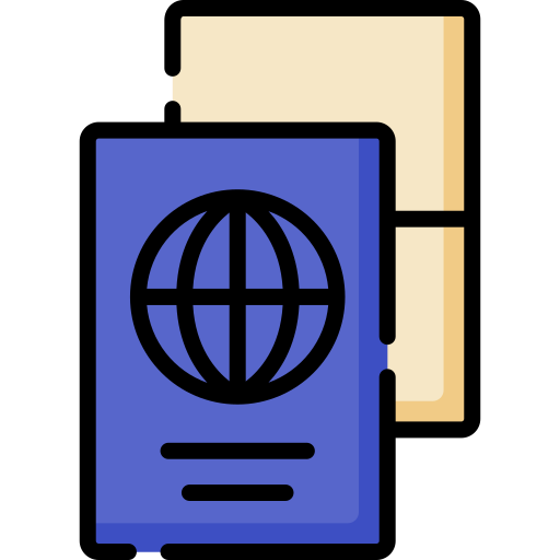 Заграничный пасспорт Special Lineal color иконка