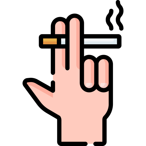 Место для курения Special Lineal color иконка