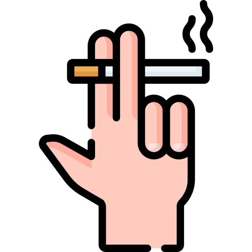 Smoking area Special Lineal color icon