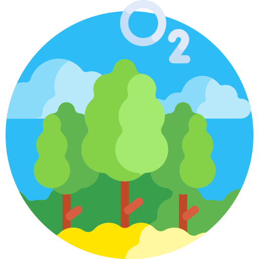 Forest Detailed Flat Circular Flat icon