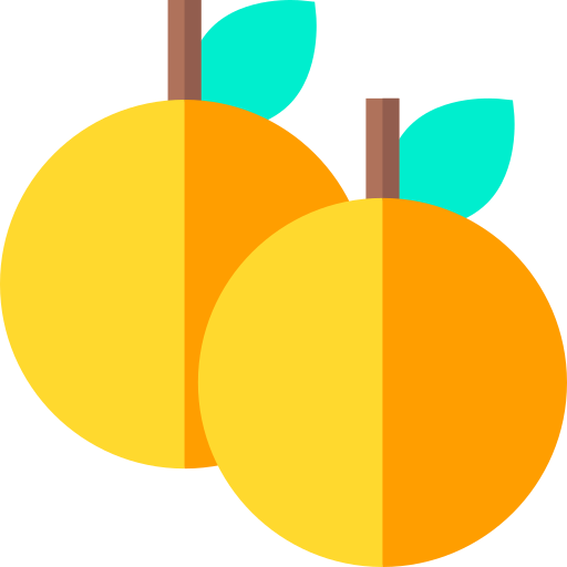 Oranges Basic Straight Flat icon