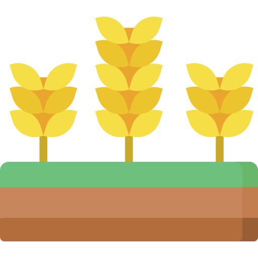 Corn Special Flat icon