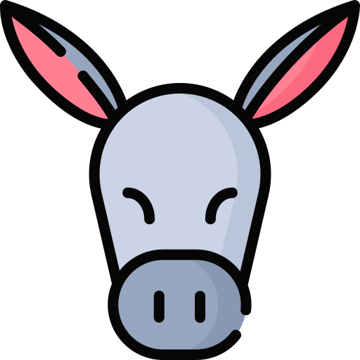Donkey Special Lineal color icon
