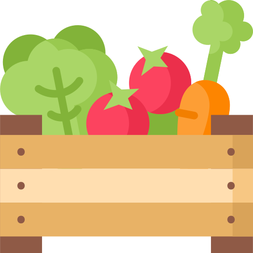 Organic food Special Flat icon