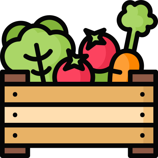 유기농 식품 Special Lineal color icon