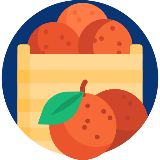 sinaasappelen Detailed Flat Circular Flat icoon