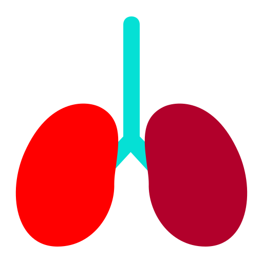 pulmões Generic Flat Ícone