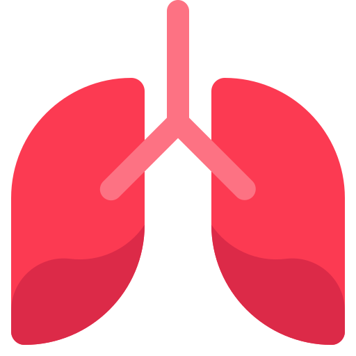 pulmões humanos Generic Flat Ícone