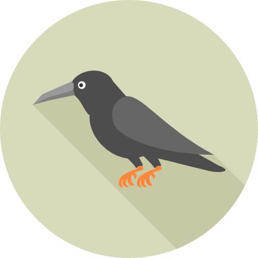 Crow Icon monk Flat icon