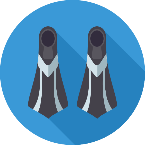 Flippers Icon monk Flat icon