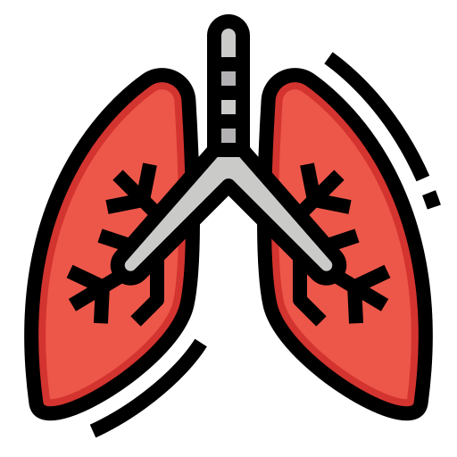 Lungs Nhor Phai Lineal Color icon