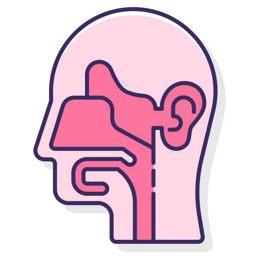 głowa Flaticons Lineal Color ikona