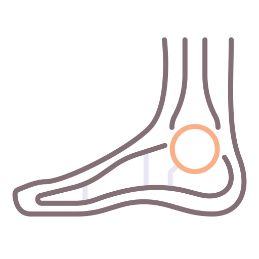 Ankle Flaticons Lineal Color icon