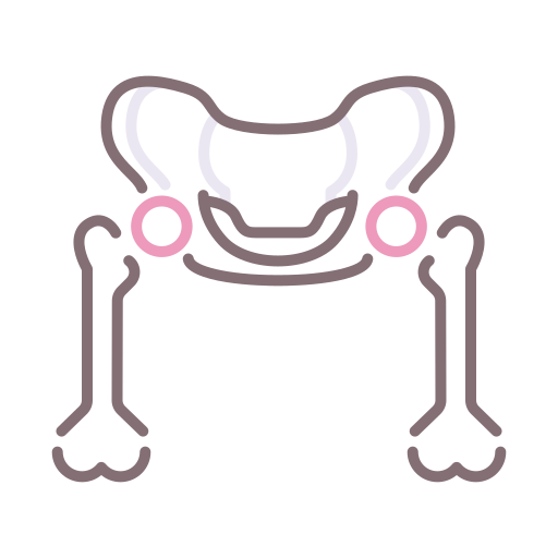 Femur Flaticons Lineal Color icon