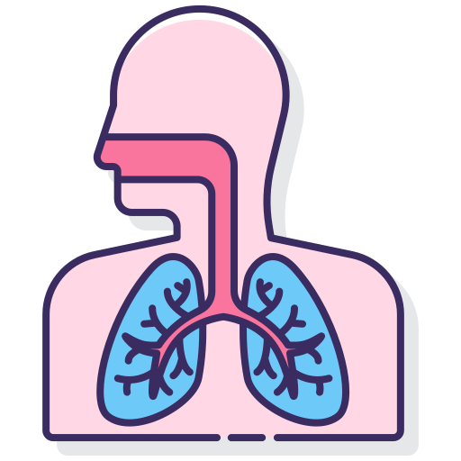 sistema respiratorio Flaticons Lineal Color icona