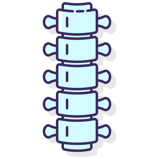 Spine Flaticons Lineal Color icon
