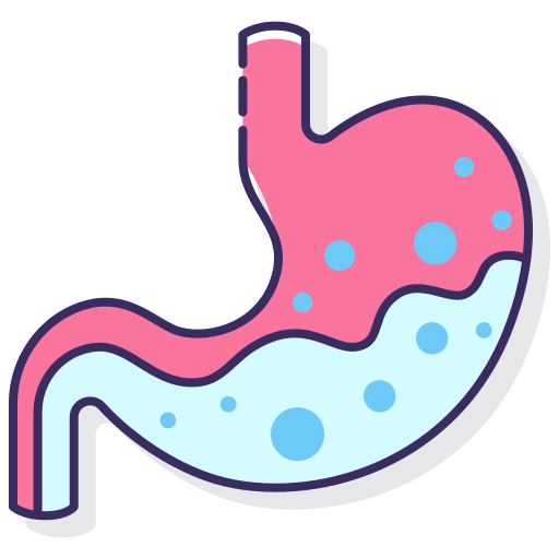 Stomach Flaticons Lineal Color icon